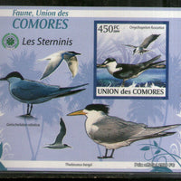Comoro Islands 2009 Birds Wildlife Animals Fauna M/s MNH # 13070