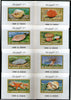 Umm Al Qiwain 1973 Sea Shells Marine Life Deluxe Sheets set of 8 MNH # 13096