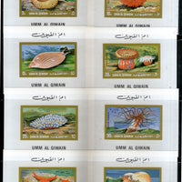 Umm Al Qiwain 1973 Sea Shells Marine Life Deluxe Sheets set of 8 MNH # 13096