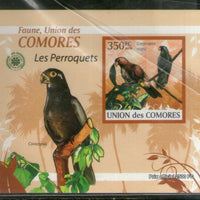 Comoro Islands 2009 Parrots Birds Wildlife Animals Fauna M/s MNH # 13121