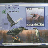 Comoro Islands 2009 Birds Wildlife Animals Fauna M/s MNH # 13208