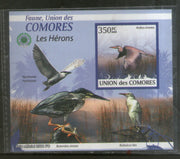 Comoro Islands 2009 Birds Wildlife Animals Fauna M/s MNH # 13208