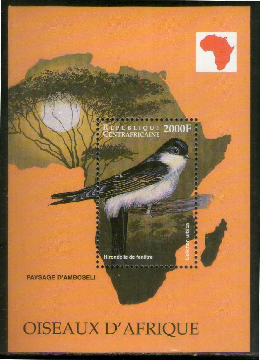 Central African Rep. 1999 Delichon Urbica Birds Wildlife Sc 1238 M/s MNH # 13325