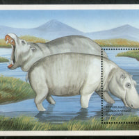 Congo Zaire 2000 Hippopotamus Wildlife Animal Fauna Sc 1515 M/s MNH # 13407