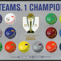 New Zealand 2015 ICC Cricket World Cup India Customized Odd Shaped Sheetlet MNH # 15114