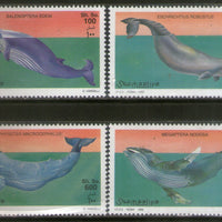 Somalia 1999 Whales Marine Life Fish 4v MNH # 1758