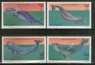 Somalia 1999 Whales Marine Life Fish 4v MNH # 1758