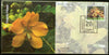 India 2018 Tangedu Flowers Plant Culture of Telangana Special Cover # 18361