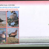 India 2020 Haiderpur Wetland Migratory Birds Wildlife Special Cover # 18674