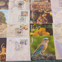 India 2018 Culture of Telangana Birds Food Deer Festival Flowers Dance Music Goddess Religion Set of 10 Special Covers # 18682