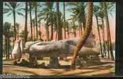 Egypt Memphis the Statue of Rameses View / Picture Post Card # PC100