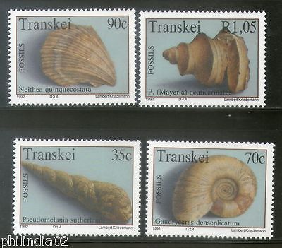 Transkei 1992 Fossils Sea Shell Marine Life Animals Sc 279-82 MNH # 2852