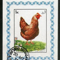 Sharjah - UAE Hen Bird Pet Animals Fauna M/s Cancelled  # 2541