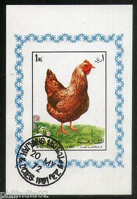 Sharjah - UAE Hen Bird Pet Animals Fauna M/s Cancelled  # 2541