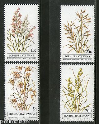 Bophuthatswana 1981 Grasses Flower Trees Plants Flora Sc 80-83 MNH # 3252