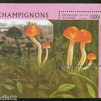 Guinee 1996 Mushroom Fungi Plant Sc 1326 M/s MNH # 1904