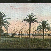 Egypt Ismailia Ephtimios Freres Port Said View / Picture Post Cards # PC119