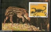 Eritrea 2001 Scorpio Reptiles Wild life Animals M/s Cancelled # 3772