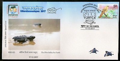 India 2017 Save Olive Ridley Sea Turtle Marine Life Reptiles Special Cover 18276