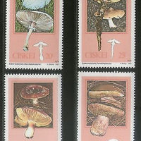 Ciskei 1987 Edible Mushrooms Fungi Plant Tree Sc 102-5 MNH # 2954