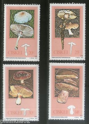 Ciskei 1987 Edible Mushrooms Fungi Plant Tree Sc 102-5 MNH # 2954