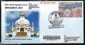India 2013 Shanti Stupa Dhauli Buddha Buddism Bhupex Commercial Used Sp Cover 29