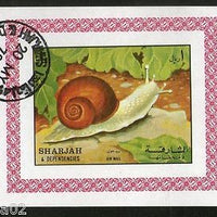 Sharjah - UAE Snail Reptiles Insect Fauna M/s Cancelled # 4138