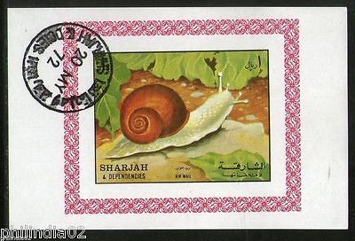 Sharjah - UAE Snail Reptiles Insect Fauna M/s Cancelled # 4138