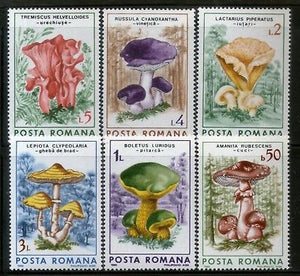 Romania 1986 Mushrooms Fungi Plant Tree 6v MNH # 3286