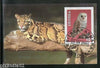 Eritrea 2001 Tiger Owl Bird Wild Life Animals Fauna M/s Cancelled # 1451