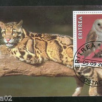 Eritrea 2001 Tiger Owl Bird Wild Life Animals Fauna M/s Cancelled # 1451