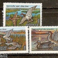 Russia 1992 Ducks Birds Animals Sc 6090-92 MNH # 2245