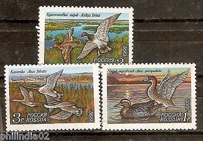 Russia 1992 Ducks Birds Animals Sc 6090-92 MNH # 2245