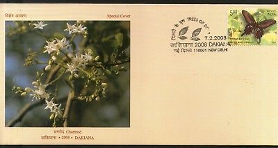 India 2008 Tree Chamrod Ehretia Laevies Plant Flower Flora Special Cover # 6775