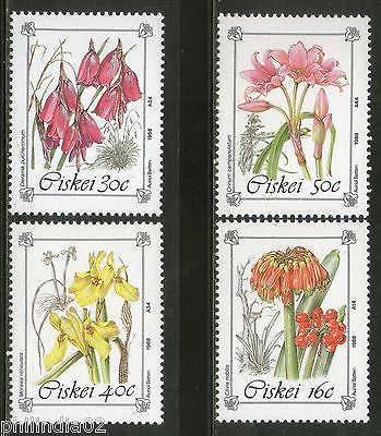 Ciskei 1988 Endangered & Protected Plant Species Trees Flora Sc 118-21 MNH #4274