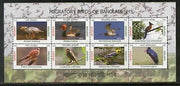 Bangladesh 2013 Migratory Birds Strok Cuckoo Goose Duck Wildlife Sheetlet # 6318