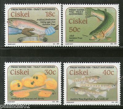Ciskei 1989 Rainbow Trout Hatcheries Fish Marine Life Animal Sc 135-38 MNH #4253