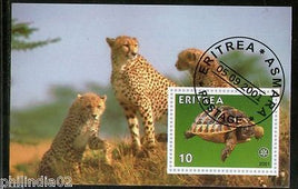 Eritrea 2001 Leopards Turtle Wild Life Reptiles Fauna M/s Cancelled # 3188