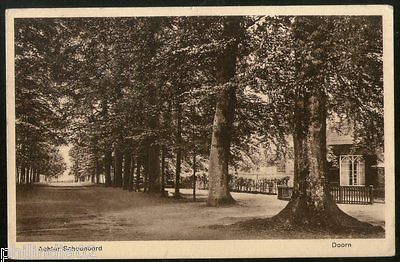 Netherlands 1930 Doorn Behind the shelter View Picture Post Card # 139