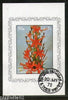 Sharjah - UAE Orchid Flowers Flora Plant  M/s Cancelled  # 2929