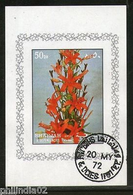 Sharjah - UAE Orchid Flowers Flora Plant  M/s Cancelled  # 2929