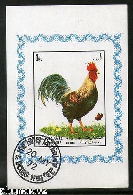 Sharjah - UAE Cock Bird Pet Animals Fauna M/s Cancelled # 1307