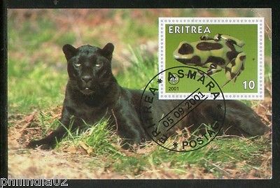Eritrea 2001 Black Tiger Frog Wild Life Reptiles Fauna M/s Cancelled # 2825