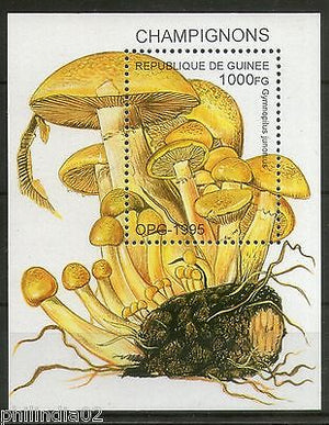 Guinea 1995 Mushroom Fungi Tree Plant Flora Sc 1336 M/s MNH # 3239