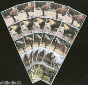 Chad 1998 Horses Domestic Animals Wild Life Fauna Setenant Cancelled x5 # 5392