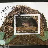 Somalia 2001 Rat Rodent Wild Life Animals Fauna M/s Cancelled # 3793