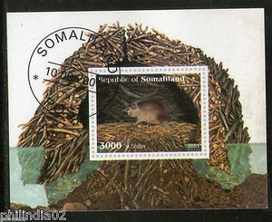 Somalia 2001 Rat Rodent Wild Life Animals Fauna M/s Cancelled # 3793