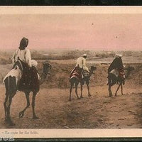 Egypt Route for the Field Camel View / Picture Post Card # PC077