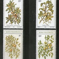 Bophuthatswana 1980 Edible Wild Fruits Trees Plants Flora Sc 56-59 MNH # 4273