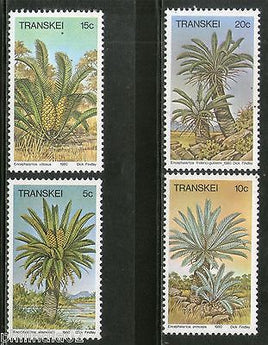 Transkei 1980 Cycads Flower Trees Plants Flora Sc 75-78 MNH # 4313